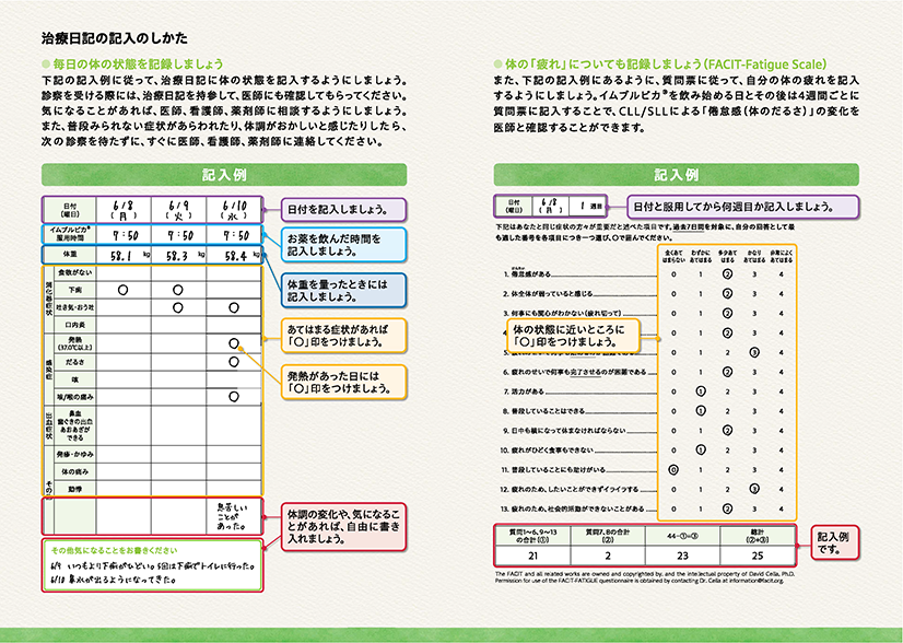 記入例