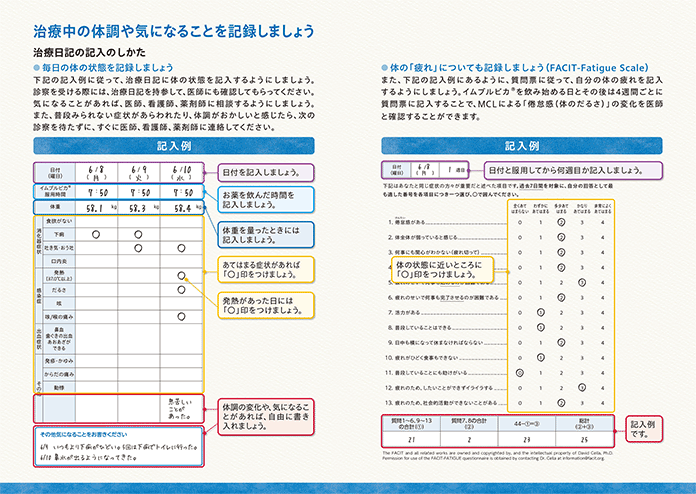 記入例